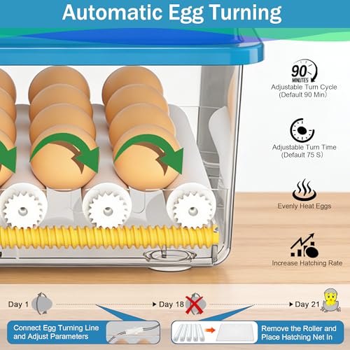 16 Eggs Incubators for Hatching Eggs, Egg Incubator with Automatic Egg Turning, Chicken Egg Incubator with Humidity and Incubation Day Display, Incubator with Egg Candler for Poultry(Blue) - color: Blue, size: 16 Egg
