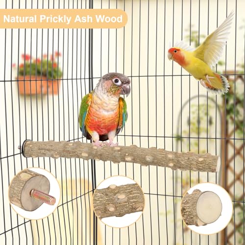 Hypeety Natural Prickly Ash Wood Bird Perch Stand Paw Grinding Perch Toy | Natural prickly ash wood, bark texture for grip, chew-proof and durable, for budgie/parakeet/cockatiel/lovebird, 11.79''/30cm - size: 11.79 inch