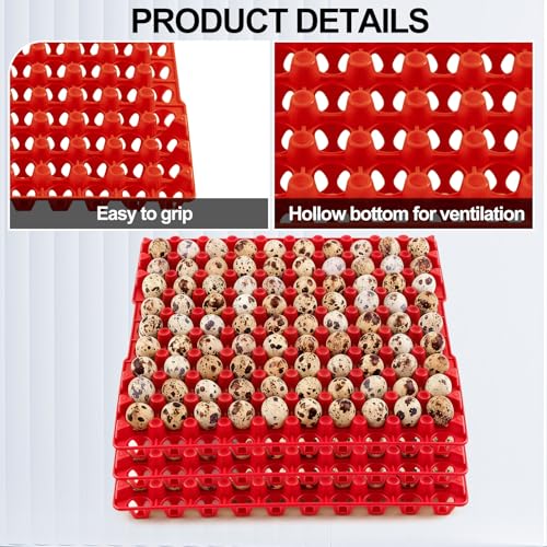 Teenyyou 10 Pcs 90 Egg Plastic Trays Quail Egg Flats Holder for Quail Pigeon Dove Bird Flat Carton (Red) - color: Red