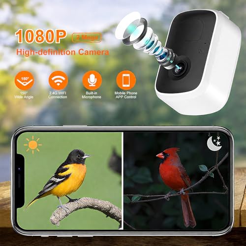 5W Solar Powered Bird Feeder with Camera - Smart Birdfeeder with 64GB SD Card, 2K Live View, AI Identification, Weatherproof Outdoor Bird Feeder for Backyard, Night Vision & Auto Capture