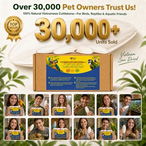 Birds LOVE 7.5-8" Cuttlebone for Birds – 100% Natural Sun-Dried Calcium Carbonate Mineral Supplement – for Parakeets, Budgies, Cockatiels, Finches & Canaries – 6 Pack with Holder – Made in Vietnam - size: 6 Count (Pack of 1)