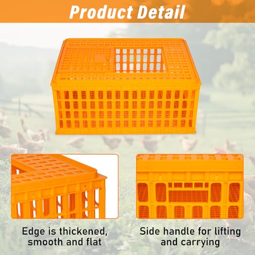 lukar 2PCS Poultry Carrier Crate Heavy Duty Chicken Transport Cage | Plastic Chicken Carrier Crates Transport Box for 10-13 Adult Chickens Duck Goose Birds, 29.5 x 21.7 x 13 Inch