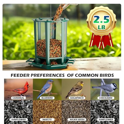 Birdream 2 Pack Bird Feeders for Outdoor Hanging, Retro Pagoda Design Fun Installation Bird Feeder, Attracting Wild Birds Chickadees Goldfinches Cardinals Finches and Sparrows - Green - color: Green, size: 2 PACK