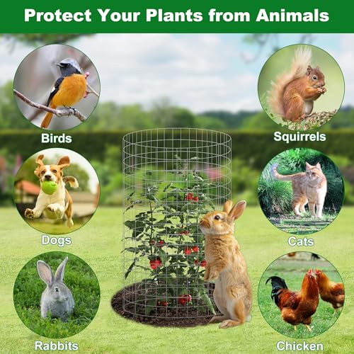 winemana 12 Set Plant Protectors from Animals, Plant Cages for Outdoor | 36 Pcs 16x12 IN Metal Wire Plant Protector with Stakes Nylon Ties to Keep Rabbit Chicken Away from Tomato Flower Vegetables - color: Silver, size: 16 IN x12 IN
