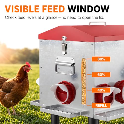 55 LB 10-Gallon Automatic Chicken Feeder, Large Metal Poultry Feeder with Window, 4-Sided No-Waste Feeding Design, Rust-Resistant Steel with Adjustable Legs for Outdoor Coops