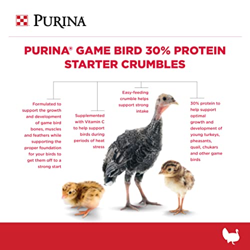 Purina® | Game Bird + Turkey 30% Protein Starter Feed | 40 Pound (40 lb.) Bag