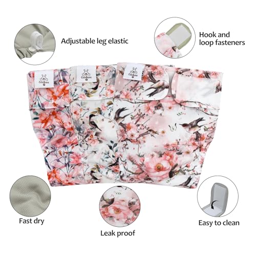 CuteBone Washable Dog Diapers Female No Tail Hole 3 Pack Reusable Doggie Period Training Pants for Docked-Tail Frenchie French Bulldog Boston Terrier Without Tail WWD30XS - size: XS