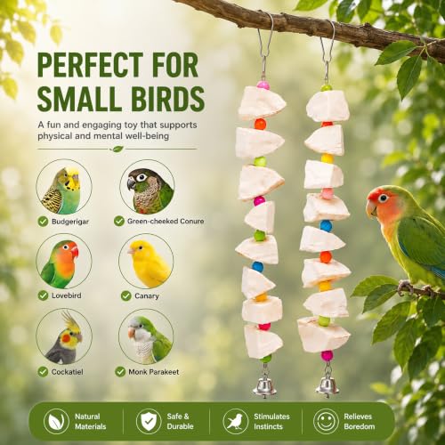 2 Pack Bird Toys with Cuttlebone & Beak Grinding Stone–Cage Accessories for Parakeets, Budgies, Cockatiels, Lovebirds, Green Cheeks & Small to Medium Birds