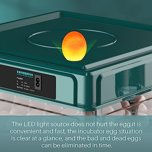Automatic Egg Incubator 12-38 Egg Digital Poultry Hatcher Machine ith Automatic Egg Turning, Temperature & Humidity Control, Efficient LED Lighting for Chicken Geese Ducks Pigeons Quails (38 Eggs) - style: 38 Eggs