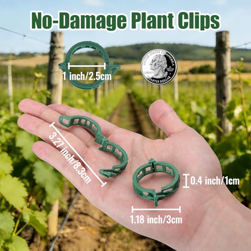 300Pcs Thickened Tomato Clips, Plant Support Clips Plastic Trellis Clips | Plant Clips for Grape Vine, Tomato Vine, Vegetable Plants, to Grow Upright Makes Plants Healthier, Green - color: Green