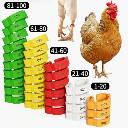 16mm 100 Pcs Adjustable Poultry Leg Bands,Chicken Leg Rings,Duck Leg Bands,5 Colors Laser Engraved Clip Rings for Large Poultry Chicken,Duck,Turkey,Goose Gamefowl Turkey