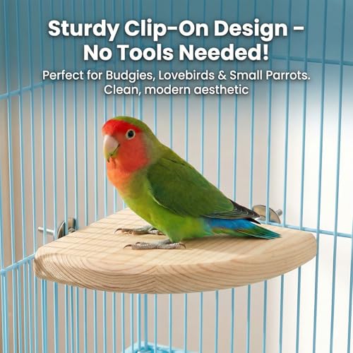 2 Pcs Flat Perches for Bird Cages Flat Bird Perch Platform Birds Perch Birds Cages Accessories Fan Shape for Parakeet Conure Cockatiel Budgie Rat Chinchilla Gerbil Hamster (2 Size)