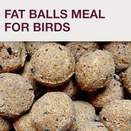 SWISSINNO Bird Feeders - No Mess Fat Ball/Suet Feeder for Outdoors Hanging - Smart Birds Lucerne Spill Proof Wild Cardinal Bird Feeder with Integrated Seed Catcher Tray - Light Grey - color: Light grey, style: Lucerne