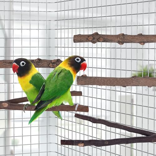 Natural Wood Bird Perch Set, 5 Branch Perches with Mounting Hardware, Parrot Cage Accessories for Claw and Beak Care (Natural, Medium)
