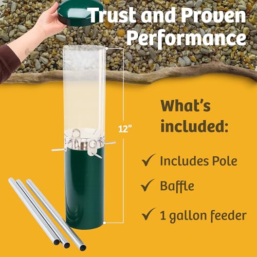 Birds Choice Classic Squirrel Proof Bird Feeder with Pole Mount | Tube Bird Feeder for Cardinals, Chickadees, Woodpeckers | Sturdy Steel for Long-Lasting Use | Backyard Bird Seed Dispenser | Green | Sturdy Steel Tube Seed Dispenser, for Cardinals, Chickad