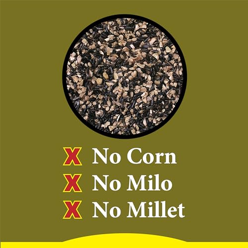 Wild Delight Advanced Formula Special Finch Food Wild Bird Seed Mix, 5lbs - size: 5 Pound (Pack of 1), style: Special Finch 5lb