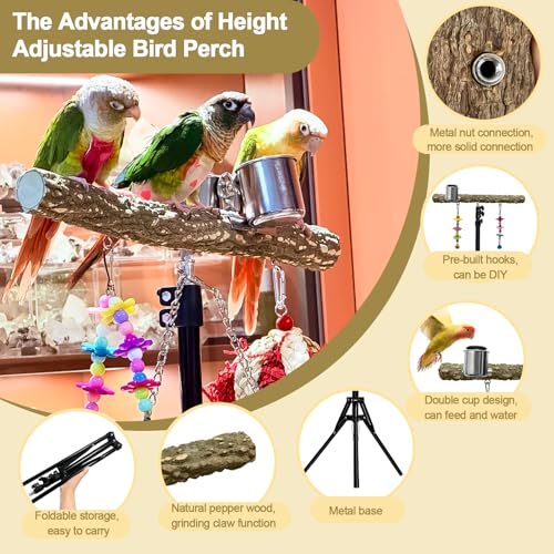 16-63 Inch Height Adjustable Bird Perch Pepper Wood Parrot Training Perch Stand with Feeding Cups and Swing Toy Parakeet Perches Indoor and Outdoor Parrot Stands for Small to Medium Bird - size: Floor Bird Perch with Feeding Cup
