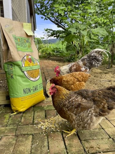 Corn & Soy-Free Chick Starter Feed - All Grain & Non-GMO Chick Food Starter with Omega 3 - Chicken Feed for Growing Healthy Chicks with High-Protein 22% and Probiotics - 40 Lb - size: 40 Pound (Pack of 1)