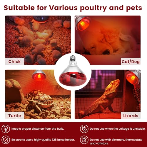 DaToo Infrared Heat Lamp Bulb for Chickens Red Heat Lamp Flood Light Heat Lamp Bulb 150 W Heating Bulbs for Brooder Coops Pets Chicks Reptiles Food Service (1 Pack) - size: 1 Pack