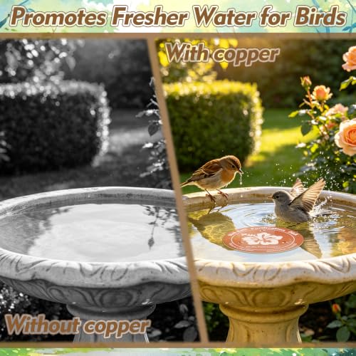 2 Pcs Copper Bird Bath Disc, Solid Copper Disk for Bird Bath, Hibiscus Flowers Bird Bath Copper Disk, Natural Water Purifier for Outside Bird Bath All-Season, Backyard Garden Decor - color: Hibiscus