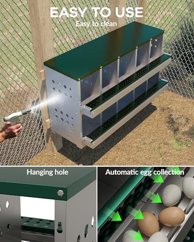 Chicken Nesting Box for Laying Eggs, 10-Compartment Galvanized Steel Nesting Boxes for Hens, Front Access Egg Tray, Easy Wall Mount Design, Includes 10 Training Eggs - color: Green