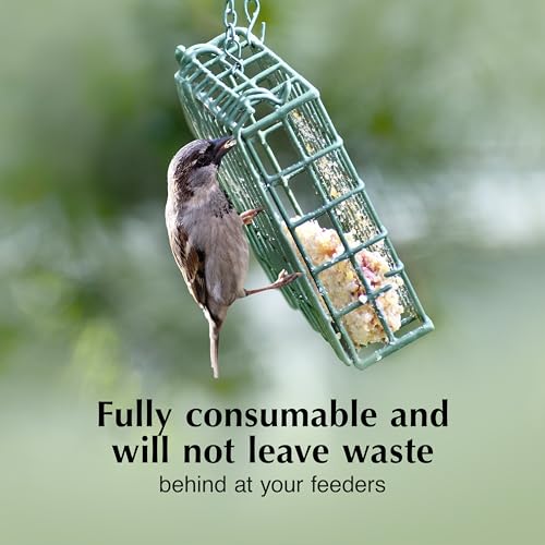 C&S Insect Delight No Melt Suet Dough, Suet Cakes for Wild Birds Including Robins, Blue Jays, Woodpeckers, Wrens, Bluebirds and More, 11.75 Ounces, Pack of 8 - size: 1.47 Ounce (Pack of 8), style: Insect, 8 Pack