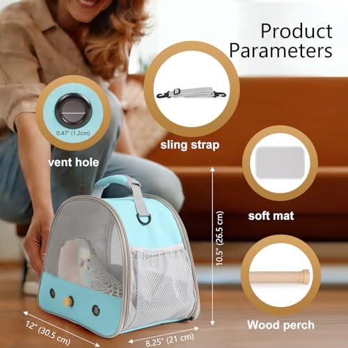 Bird Carrier, Portable Small Bird Parrot Parakeet Carrier with Standing Perch and Soft Mat, Side Access Window Collapsible (Green, Mesh Windows) - color: Green