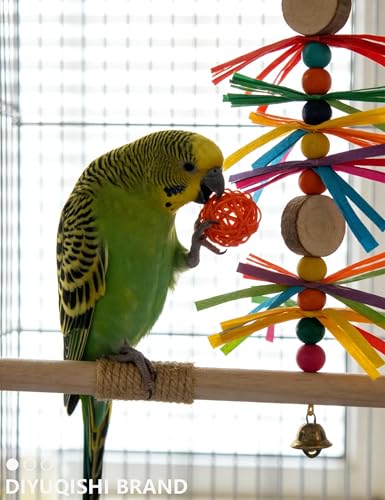 23-Pack Bird Toys for Parrots – Natural Rattan and Plastic Bell Balls | Safe, Fun Cage Decor, Foot Exercise, 1.6 in - 2.8 in - size: 1.6'' - 2.8''
