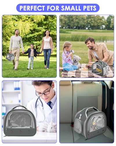 Bissap Bearded Dragon Travel Carrier, Portable Guinea Pig Carrier Bag Tortoise Carrier Pouch for Bunny Hamster Chinchilla Hedgehog Lizard Bird Outgoing Reptile Travel Carrying Case - Grey - color: Grey
