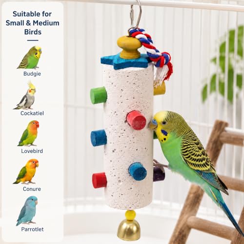 Hanging Bird Chew Toy for Small & Medium Birds, Textured Chewing Stone with Colorful Wooden Pegs, Cotton Rope & Bell, Bird Cage Accessories for Parakeets and Cockatiels