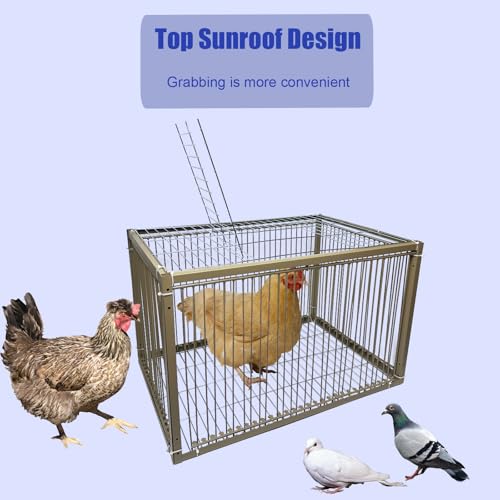 15" H Chicken Pigeon Trap Cage Birdcage Small Animal Trap Cage with Escape-Proof Design for Bird Turkey Duck Dove (23.6" L x 23.6" W x 15.7" H) - size: 23.6"L x 23.6"W x 15.8"H