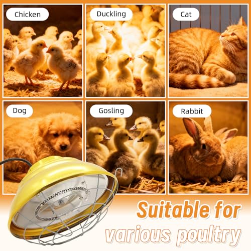Chicken Heat Lamp 600W Carbon Fiber Tube Brooder Heater Lamp Hanging Chicken Heat Bulb Dual Temperature Adjustable (300/600W) for Chicks,Ducks,Dog Kennel,Cat House
