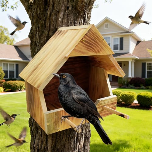 Robin Nesting Box - Premium Handmade Solid Wood Bird House for Outdoors | All-Weather Garden Gift to Attract Robins, Blackbirds, Wagtails | Easy to Mount & Clean