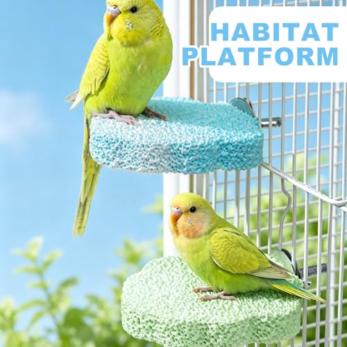 3pcsRainbow Cloud-Shaped Bird Perch Platform + Beak Conditioning Stone + Stainless Steel Feeder,Parrot Perch for Cage Volcanic Rock Mineral Bird Perch,for Parakeets,Cockatiels,Lovebirds（Green） - color: G