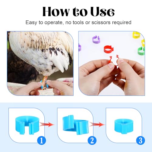 80 PCS Chicken Leg Bands, 1-80 Numbered Poultry Leg Bands 16mm Plastic Chicken Identification Rings, 8 Colors Coded Legs Band for Farmers Chickens Quail Chick Duck Bird