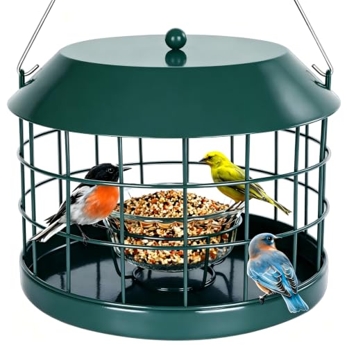 Gbekery Caged Bluebird Feeder for Mealworms with Glass Bowl, Squirrel Proof Bird Feeder for Small Birds Only, Detachable Hook, Large Space, Outdoors Weatherproof, Metal, Green - style: Green Glass Bowl