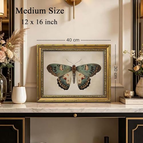 DR.RiftArt Vintage Moody Butterfly Wall Art Moth Decor Painting | Gold Framed Antique Canvas Butterfly Print Insect Picture Artwork Rustic Farmhouse Style for Living Room Bedroom 12x16 inch - color: Butterfly, size: 16"L x 12"W