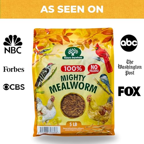Nature Anywhere Mighty Mealworm | meal worms for wild birds and laying hens, about 52% protein, SGS lab tested, single ingredient, no fillers, resealable