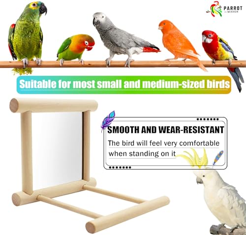 Blessed Family 2 Piece Bird Parakeet Mirror for Cage,Parrot Perch Stand,Wooden Hummingbird Swing Toy,Parakeet Accessories for Cockatiels Conure Finch Lovebird Canary African Grey Macaw