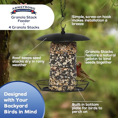 Armstrong Royal Jubilee Granola Stack Feeder + 4 Granola Stacks Assorted Bundle - Durable 12-Inch Hanging Feeder with Premium High-Energy Treats for Wild Birds - style: Granola Stack Bundle
