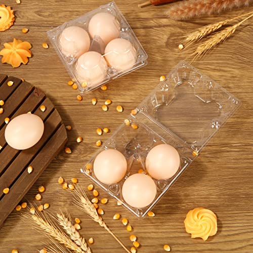 DAJAVE 100 Pack Plastic Egg Cartons, Clear Egg Cartons Bulk Holds up to 4 Eggs, Plastic Egg Holder for Family, Pasture, Farm Markets Display