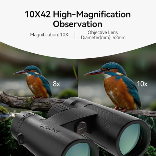 SVBONY Upgraded SV202 10x42 ED Binoculars for Adults 10x High Magnification | Wide Field of View, Extra-Low Dispersion, BAK4 & FMC Optic System, IPX7 Waterproof, Clear, Bright, Distortion Free Low Light - size: 10x42mm