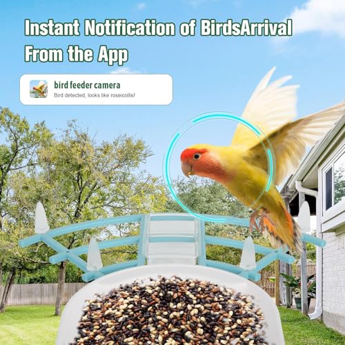 Bird Feeder with Camera, AI Identify Birds Species, Smart Bird Feeder with Camera Solar Powered, Auto 2K HD Video in Backyard, Ideal Gift for Family and Birds Lovers