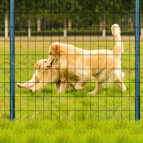 2ft x 50ft Black Vinyl Coated Welded Wire Fence | Heavy Duty Garden Fencing,Chicken Coop Poultry Run, Dog Fence & Garden Protector for Vegetables - size: 2 ft X 50 ft
