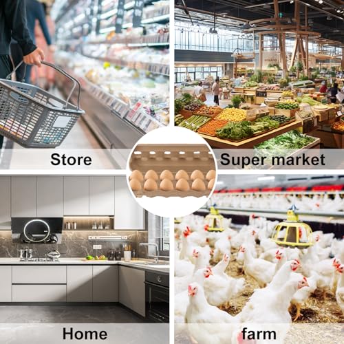 25 Pack Egg Cartons Bulk, Cardboard Egg Crates for Secure Eggs Storage, Egg Cartons Bulk for Fresh Eggs - Perfect for 12 Count (1 Dozen) Large Eggs - size: Dozen