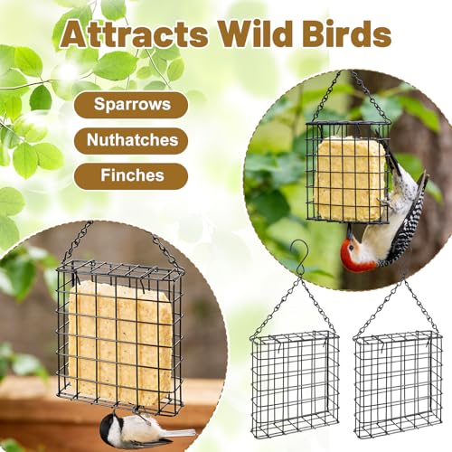 Suet Bird Feeders Outdoor, 6 Pack Hanging Wild Bird Feeder with Single Cake Capacity, Weatherproof Metal Suet Feeder for Garden Yard Decoration, Easy to Clean & Hang (Black)