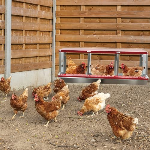 XINYI Chicken Nesting Boxes for Laying Eggs, Metal Coop for 3 Chickens,Roll Away Nesting Boxes,Easy Egg Collection, Brooder Box for Rabbit, Squirrel, Parakeet, Owl, Cockatiel, Robin - size: 33.0"L x 13.0"W x 12.6"H