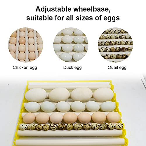 HBtree Automatic Multifunction Incubator Egg Tray Turning Hatcher for Chickens/Ducks/Birds/Poultry（7 Tubes） - color: 7 Tubes