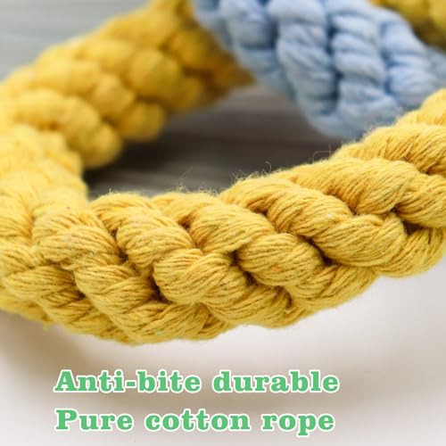 Sugar Glider Hanging Toy - Colorful 6-Ring Climbing & Swing Set for Cages, Cage Accessories for Small Animals Birds Parrots Parakeets Cockatiels Ferrets Hamsters Rats - size: 6 rings(18.9 Inch)