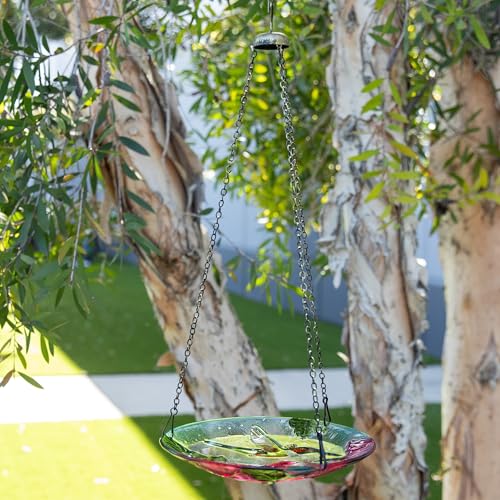 Alpine Corporation KBD150 Outdoor Hanging Glass Bird Feeder and Birdbath, Floral and Hummingbird Design with Chain, 10" W, Red/Green - style: Floral and Hummingbird